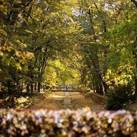 A - Slatina Hotel 4*